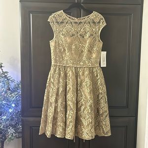 NWT Cap sleeve lace jacquard midi dress by Theia
